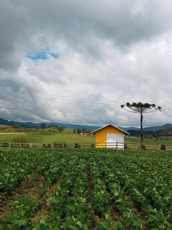 Cabana Caminho Das Borboletas 邦雷蒂鲁 外观 照片