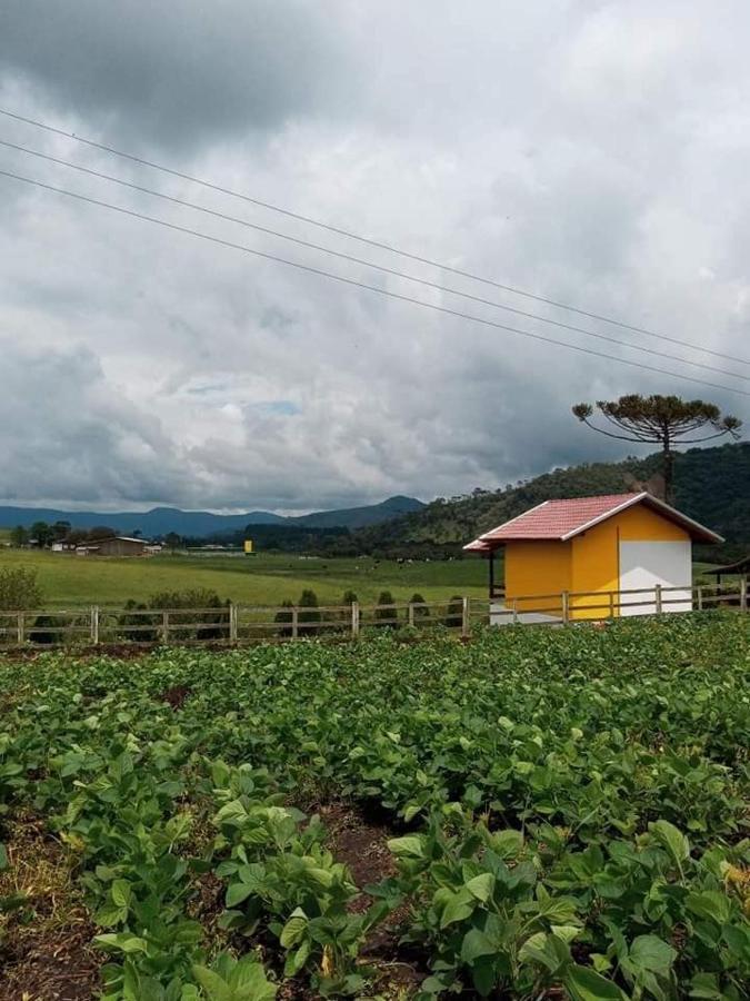 Cabana Caminho Das Borboletas 邦雷蒂鲁 外观 照片